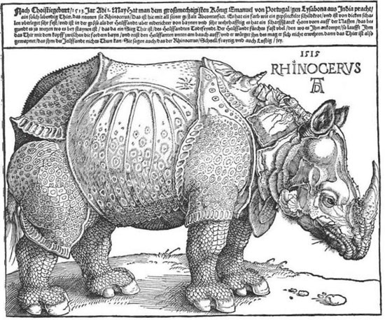 Носорог. Гравюра Альбрехта Дюрера. 1515 г.